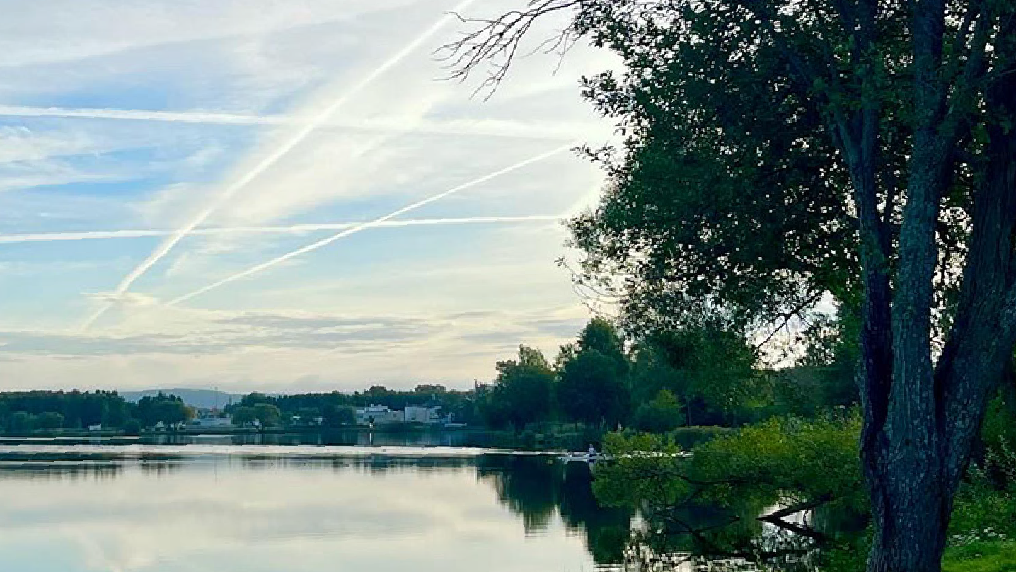 Fotografi över munksjön med ett grönskande träd till höger i bild.