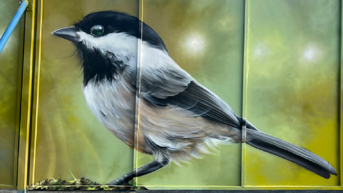 Muralmålning föreställande en liten svartvit fågel. Bakgrunden är i grönt och gult.