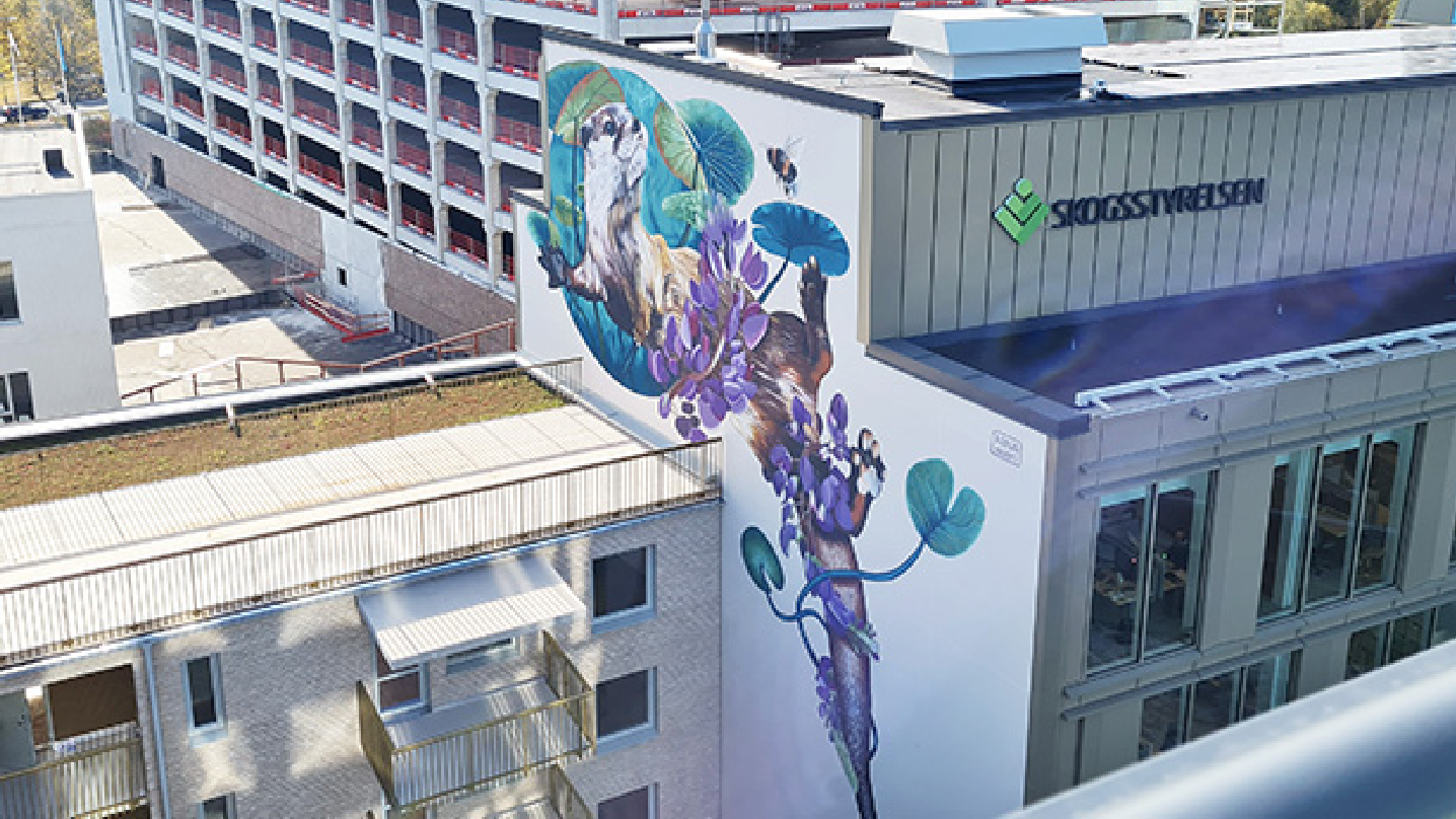 En drönarbild på muralmålningen som sitter på en vägg emellan stora byggnader. Målningen föreställer en utter som ligger och chillar bland gröna,blåa blad och lila lupiner. En humla flyger ovanför den.