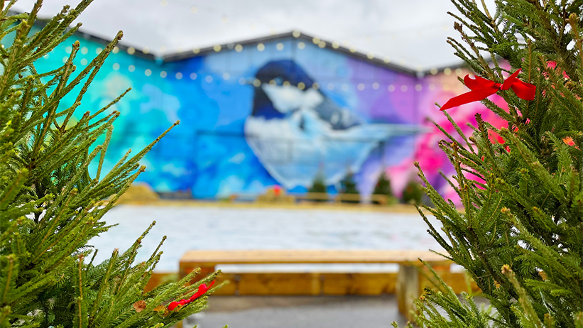 En stor blå muralmålning på en fågel i bakgrunden. Två granar och en träbänk i förgrunden och där bakom syns den visa isbanan.
