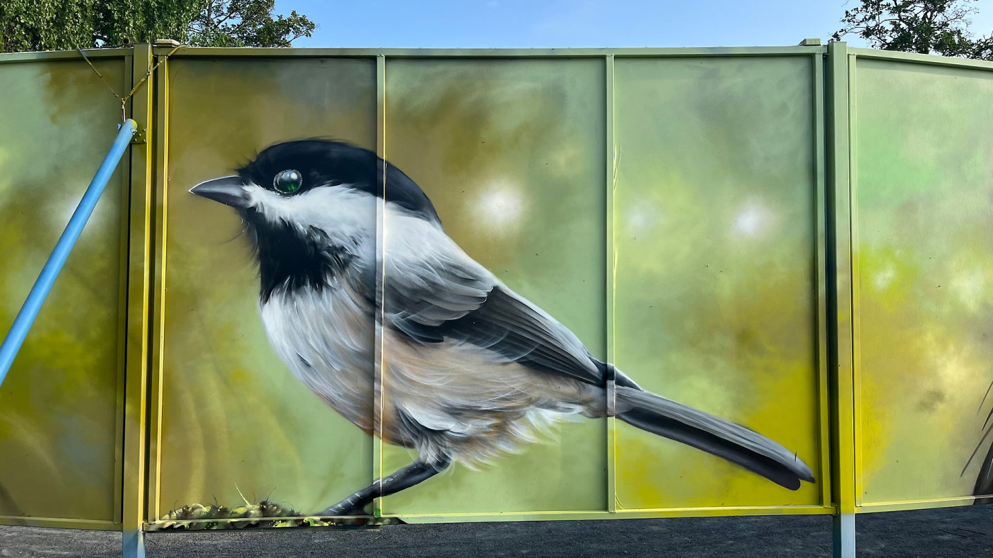 En muralmålning på en svartvit fågel av mindre art. Bakgrunden är grön.
