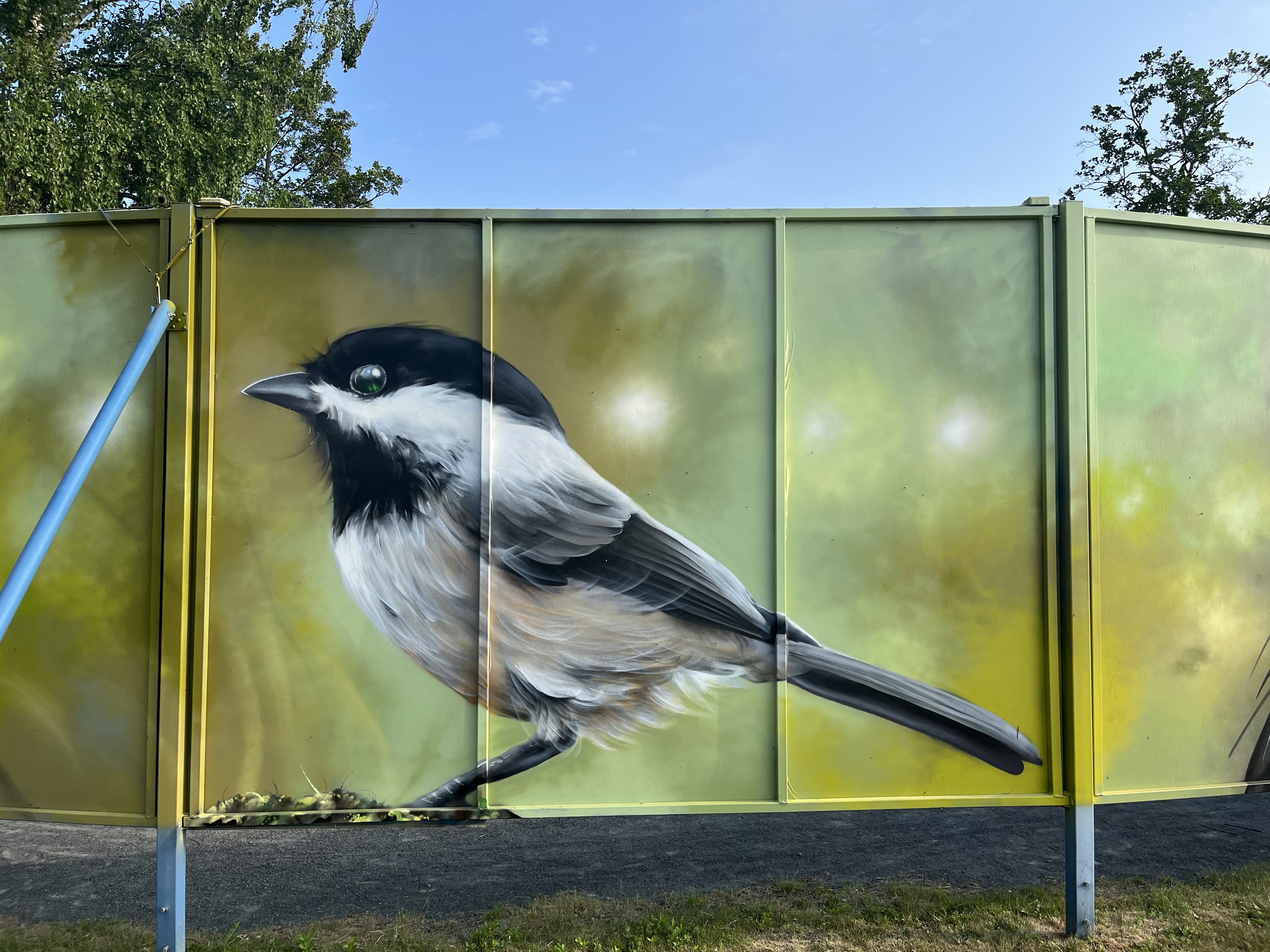 Muralmålning på en fågel