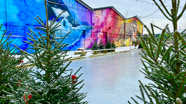I förgrunden syns två granar, i bakgrunden syns isbanan och två stora muralmålningar föreställande en fågel och en katt. På marken ligger snö.