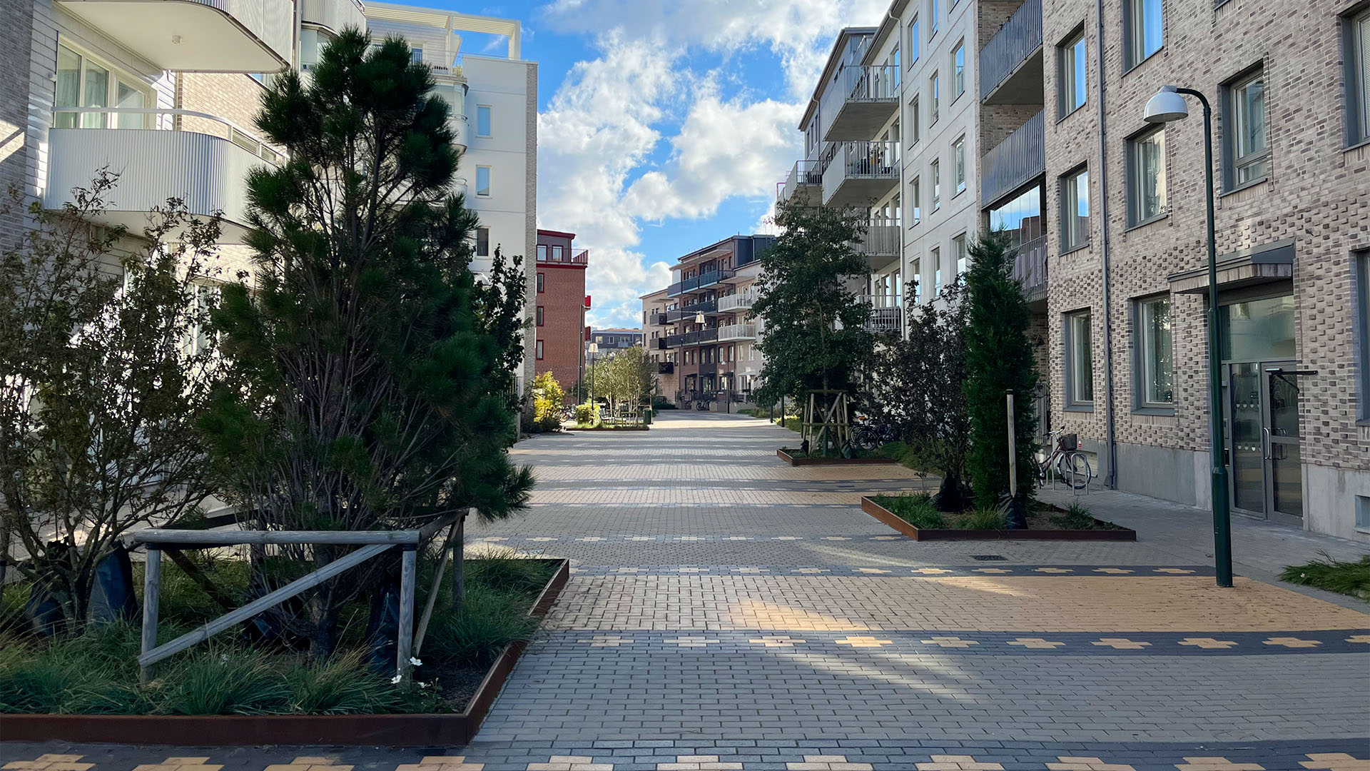 En gata med stenläggning i olika färger och mönster. På gaten växer träd och grönska