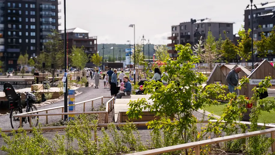 Park med gröna växter, hus och människor