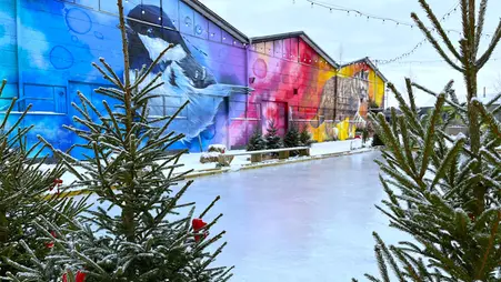 Mellan två granar syns en skridskobana och en träbänk. I bakgrunden syns ljusslingor och en stor graffitimålning av en fågel.