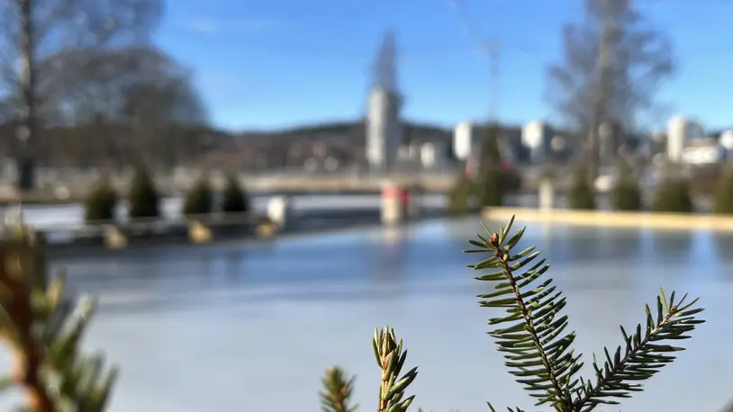 En isbana. Himmeln är blå och i förgrunden syns en grankvist.