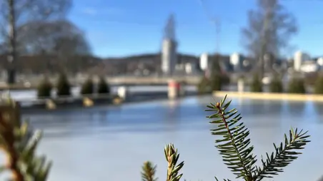 En isbana. Himmeln är blå och i förgrunden syns en grankvist.