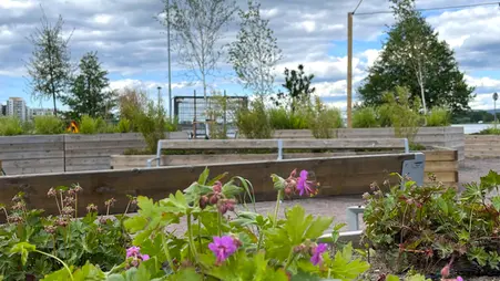 Grönska med rosa blommor i förgrunden. I bakgrunden syns en träsoffa, planteringslåda och träd.